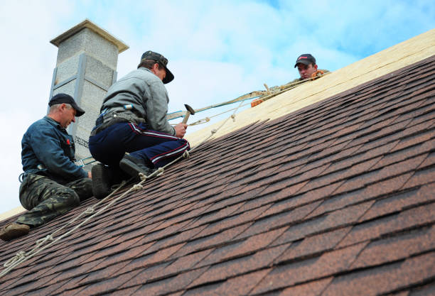 Best Gutter Installation and Roofing  in Cedar Point, NC
